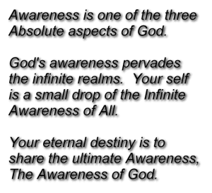 Awareness is one of the three Absolute aspects of God.  God's awareness pervades the infinite realms.  Your self is a small drop of the Infinite Awareness of All. Your eternal destiny is to share the ultimate Awarenss, The Awareness of God.