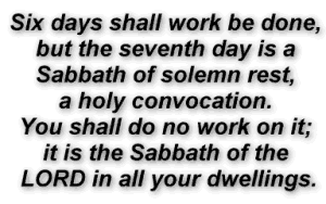 Six days shall work be done, but the seventh day is a Sabbath of solemn rest, a holy convocation. You shall do no work on it; it is the Sabbath of the LORD in all your dwellings.