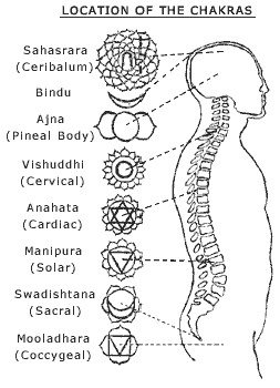 cHAKRA LOCATIONS